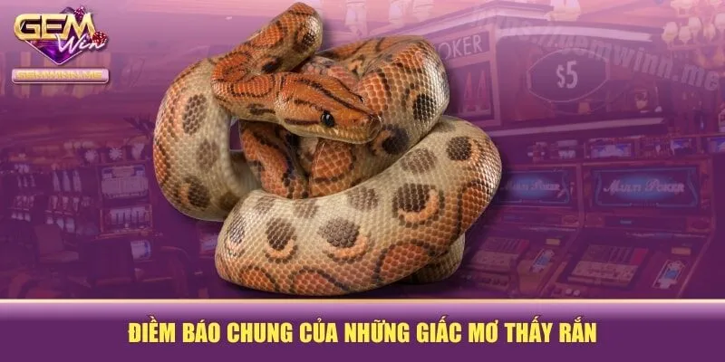 Điềm báo chung của những giấc mơ thấy rắn