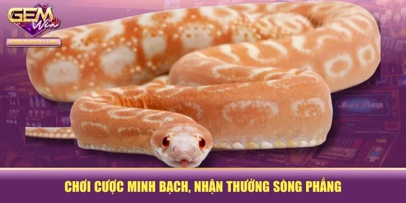 Gợi ý mơ thấy rắn đánh con gì